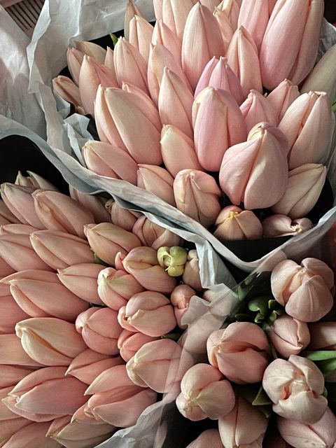 image_19F903C6-81B7-4CE8-85A7-32C6CA826783_1768791542