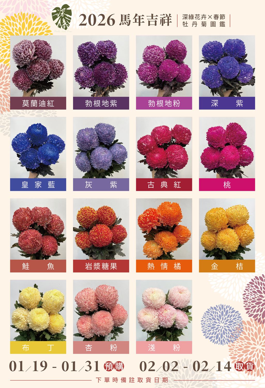 牡丹菊海報-2026-1
