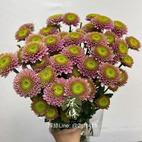 image_AB2EEBDE-9F18-4553-AEBB-E54470839E46_1768270368