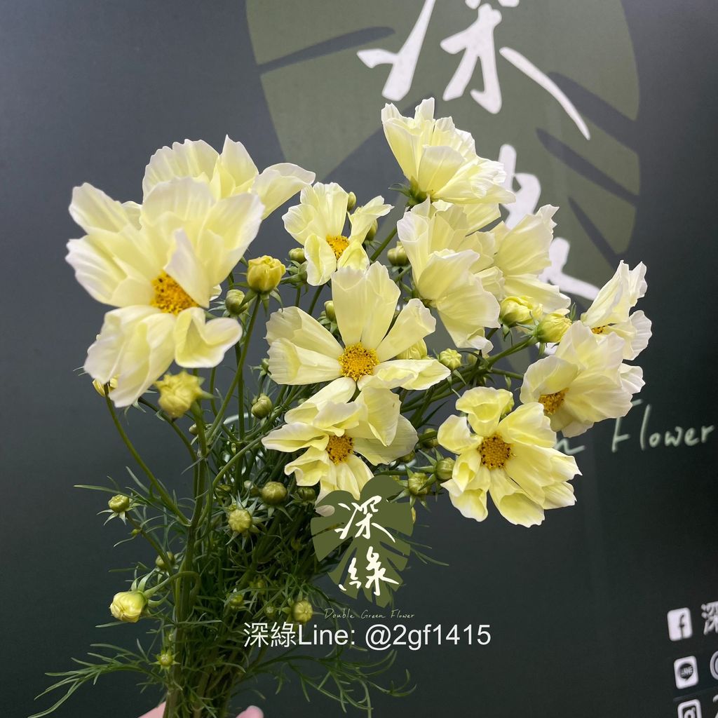 image_A15CC961-6C0A-476F-88DB-D5EEC747A733_1768201428