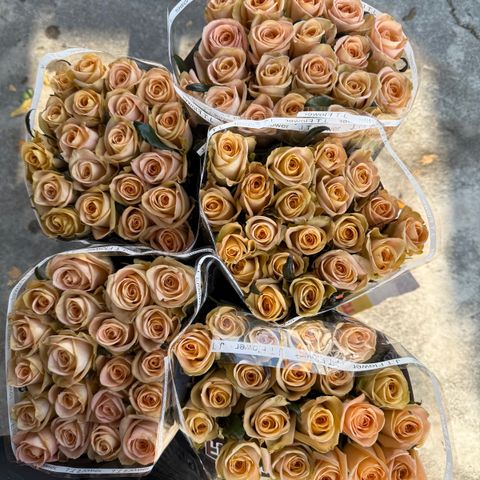 image_FFBEF77E-72E2-45FC-8DF4-8254E5A97361_1768807508