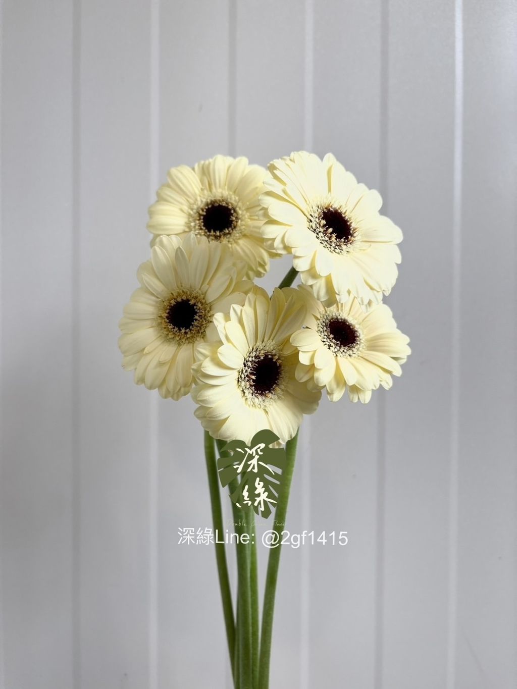 eZy Watermark_13-11-2024_06-35-55-0790下午-1731827769523