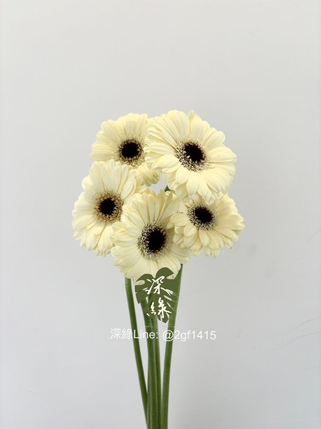 eZy Watermark_13-11-2024_06-35-54-4290下午-1731827769529