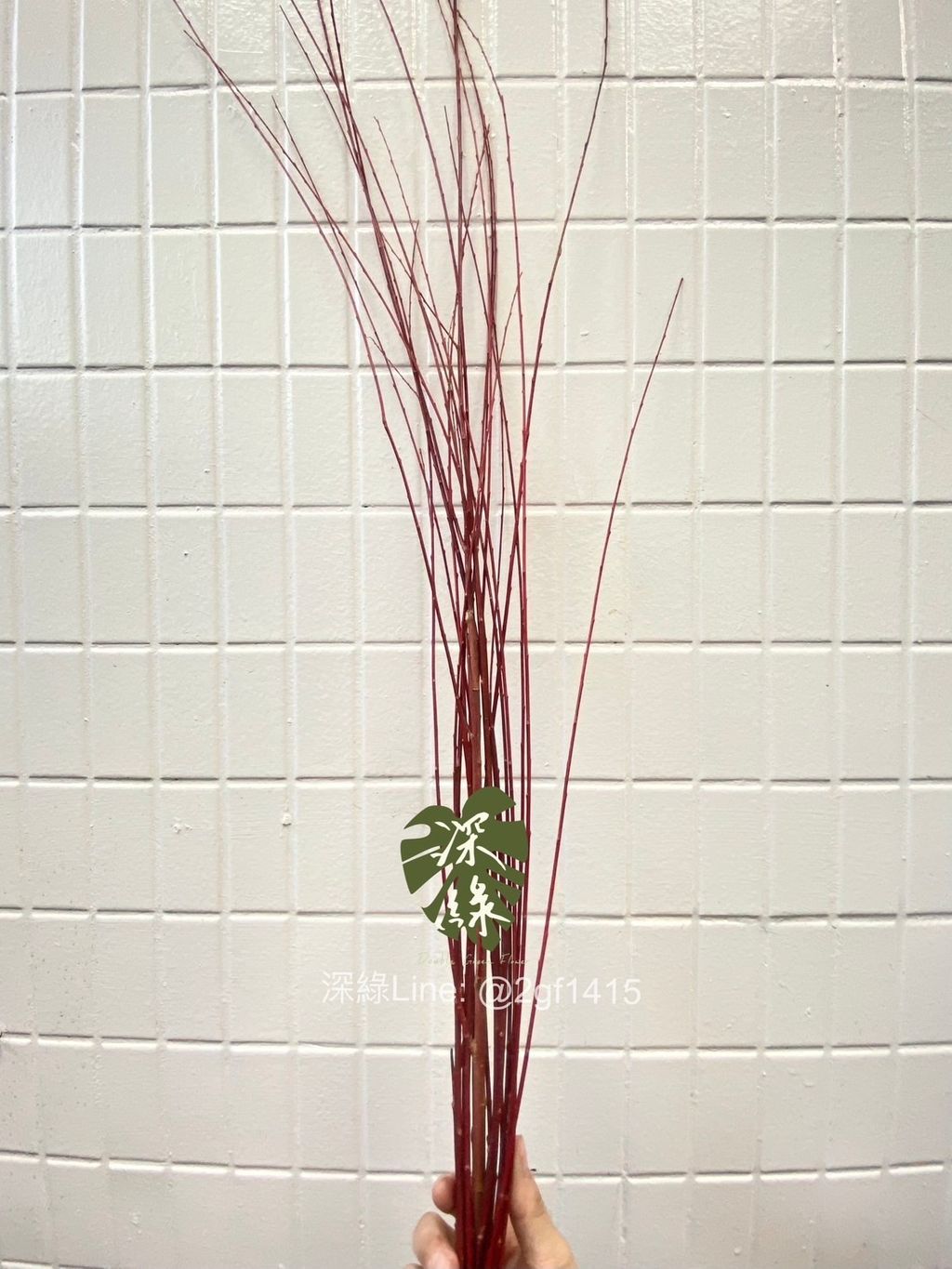 image_13C475CB-522B-45AC-A308-0CF35A3A50DA_1768815579