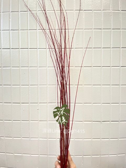 image_13C475CB-522B-45AC-A308-0CF35A3A50DA_1768815579