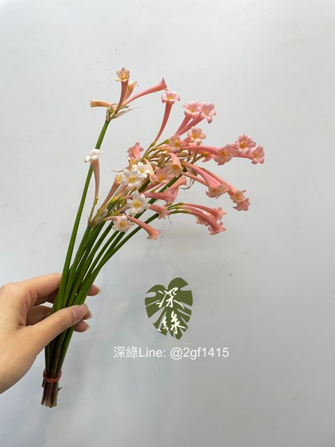 image_AC6A601C-2797-43F4-8202-7930BDD44FAC_1768871531