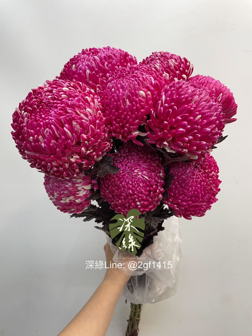 image_9FCD9762-F822-443A-AA2F-45A575D73A6A_1768872066