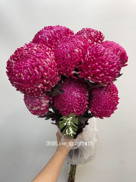 image_9FCD9762-F822-443A-AA2F-45A575D73A6A_1768872066