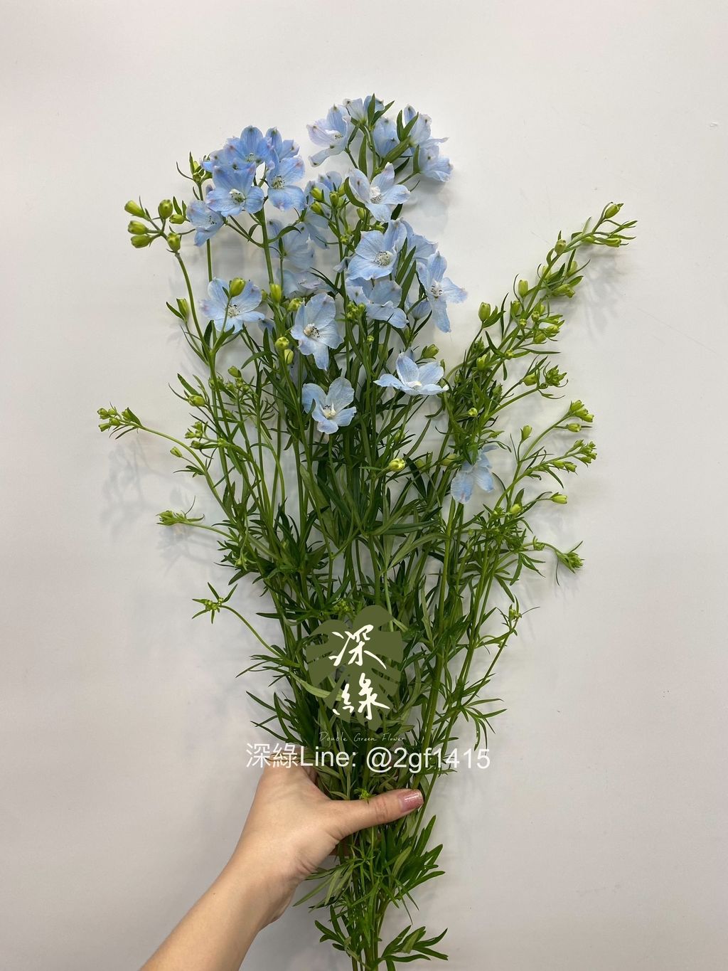 image_665CEF7D-8887-4414-B699-E7E612CBA7FC_1749529583