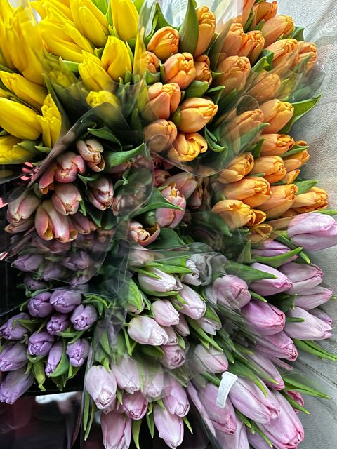 image_2E611C80-C944-481D-BAFF-CC6D28116520_1768877656