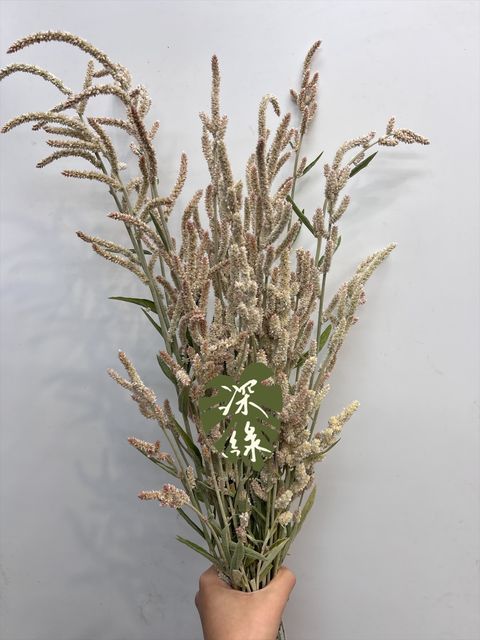 image_C68DB575-E968-424D-8648-97F110BA9ED0_1768877996