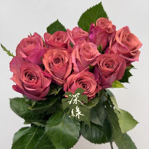 image_165E170F-88E1-4108-A471-15D8E06FB963_1768878886