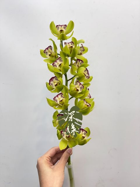 image_EA01D9AC-40D8-4FE5-A928-6D3EF3245E04_1768960945