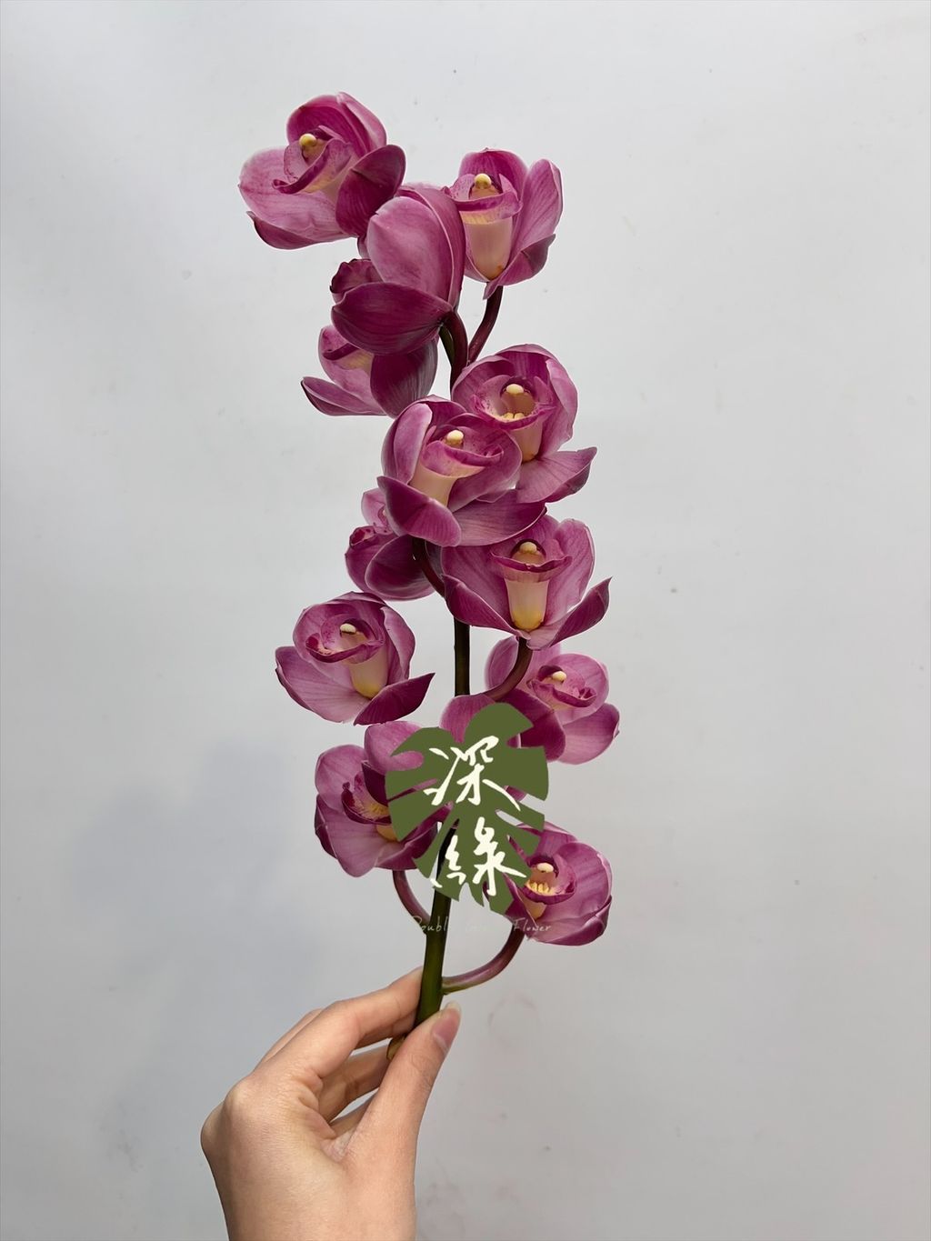 image_CB1E1952-02F0-44EF-91DD-829F3CF8CDFE_1768961544