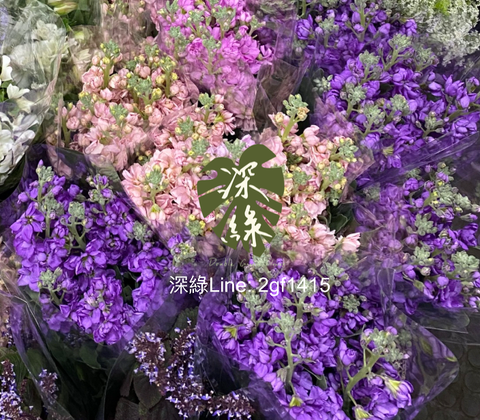 image_C38AECD1-3D31-48AE-91CD-F7B799A04610_1769054166