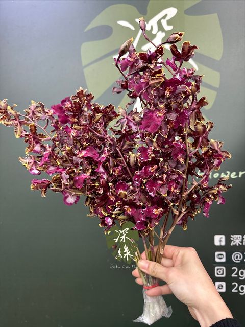 image_21F07552-889E-40A7-8541-D1CF06D456D8_1769054988