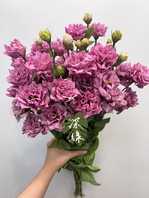 image_308B21F7-C1FE-4C78-A81B-7DBA127FA024_1768962706