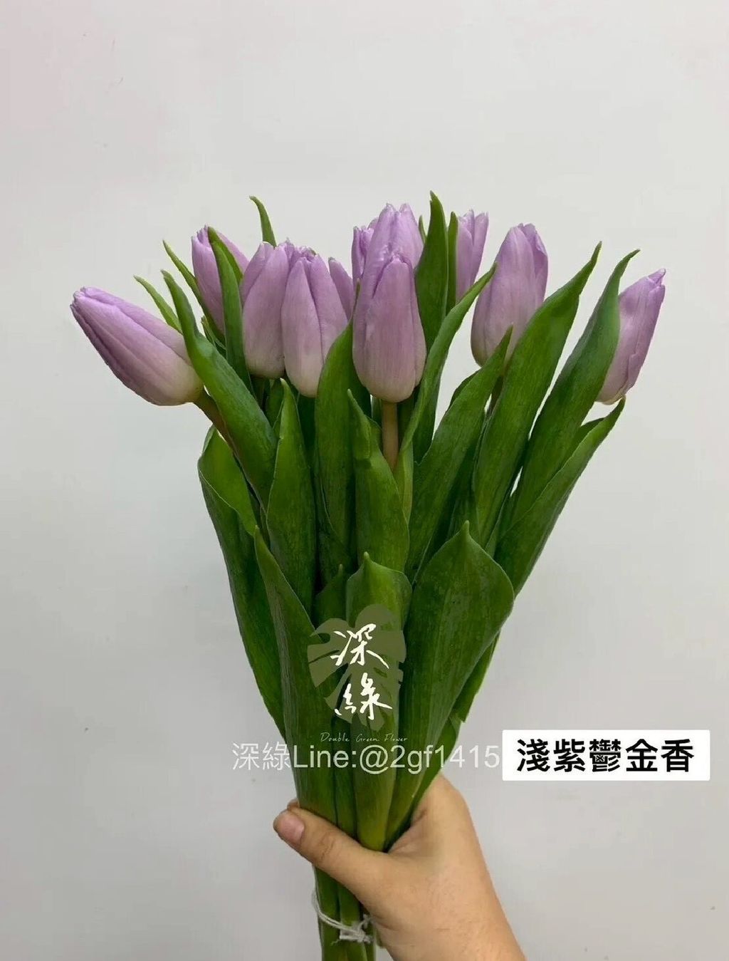 LINE_ALBUM_115西洋情人節鬱金香_260125_9