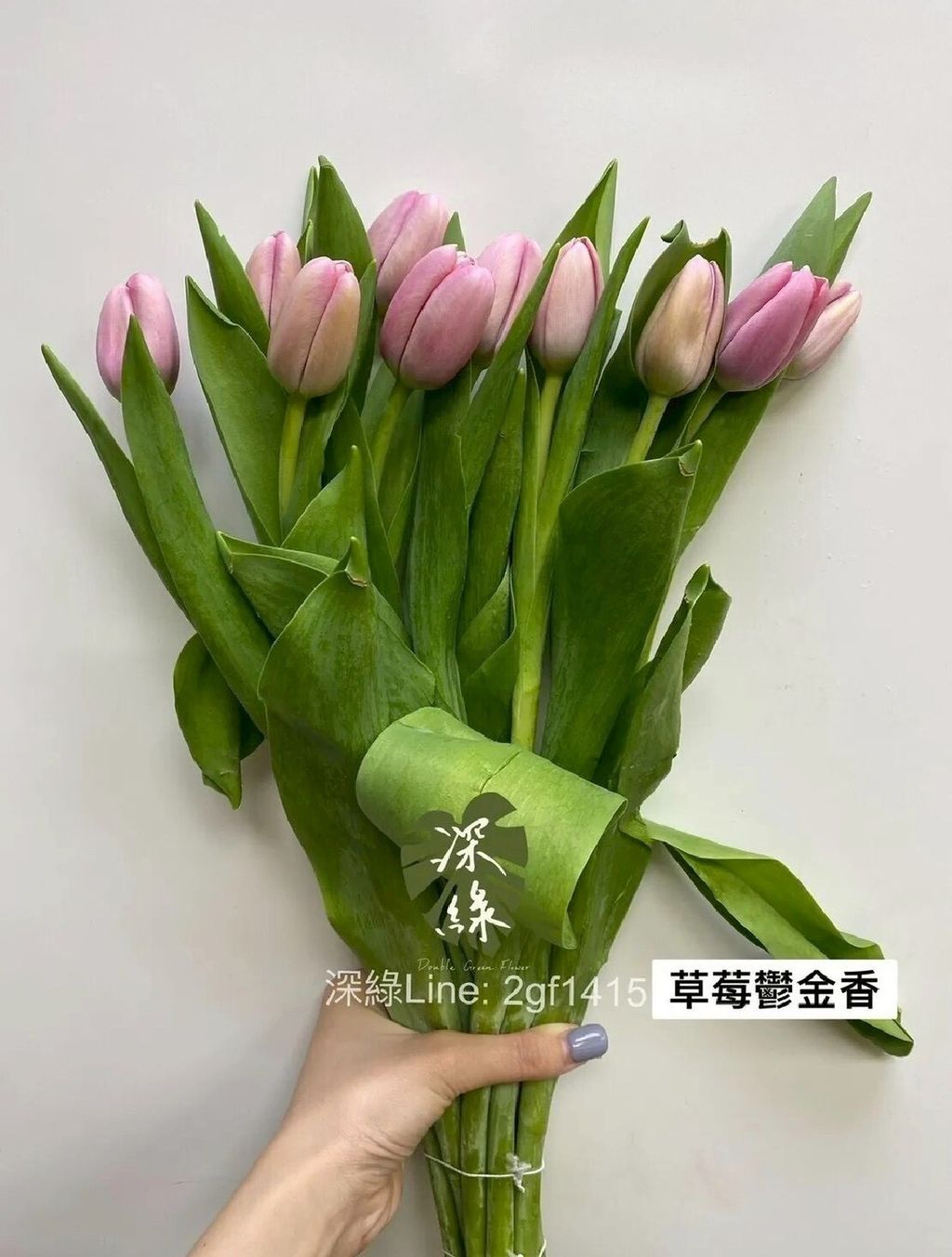 LINE_ALBUM_115西洋情人節鬱金香_260125_13