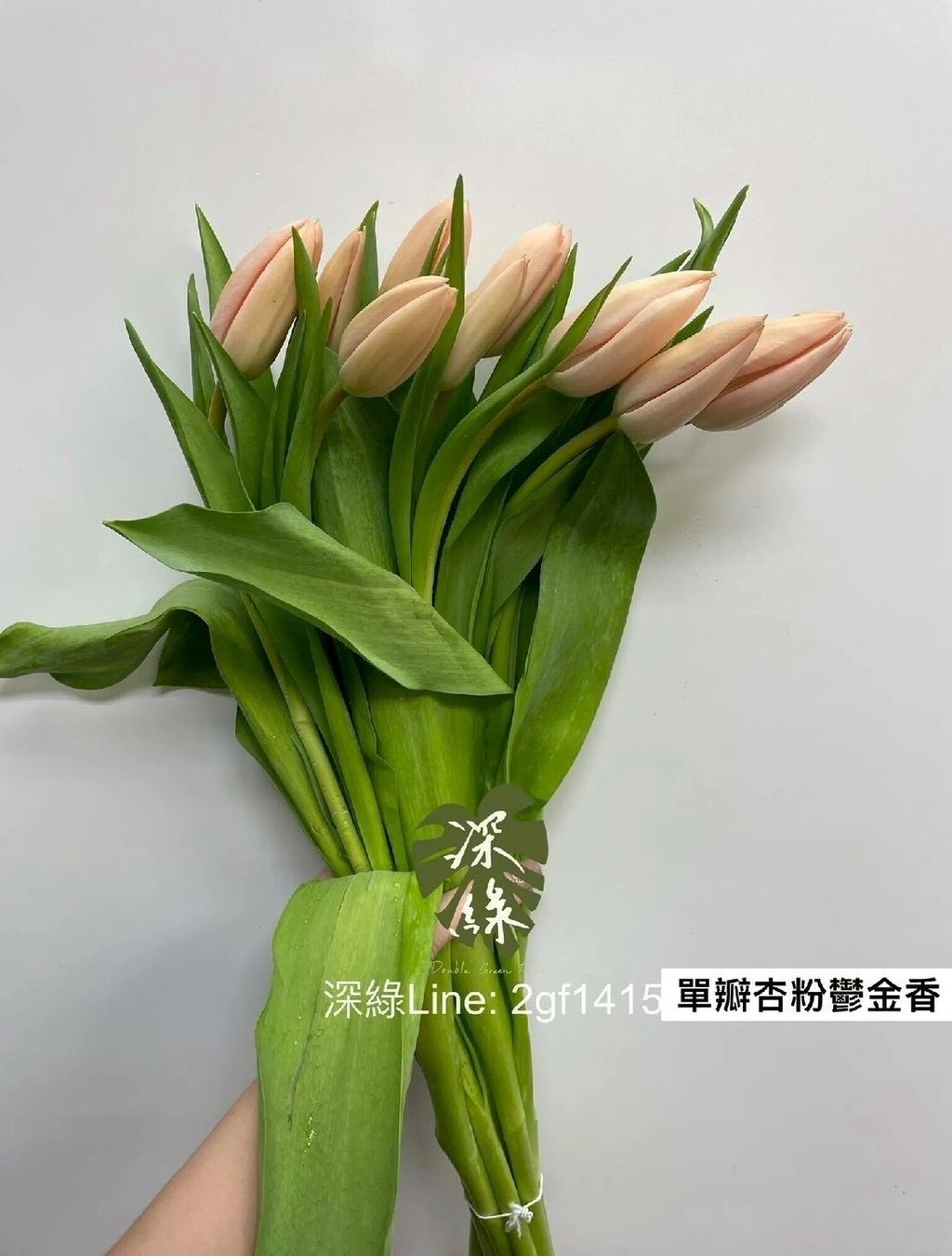 LINE_ALBUM_115西洋情人節鬱金香_260125_8