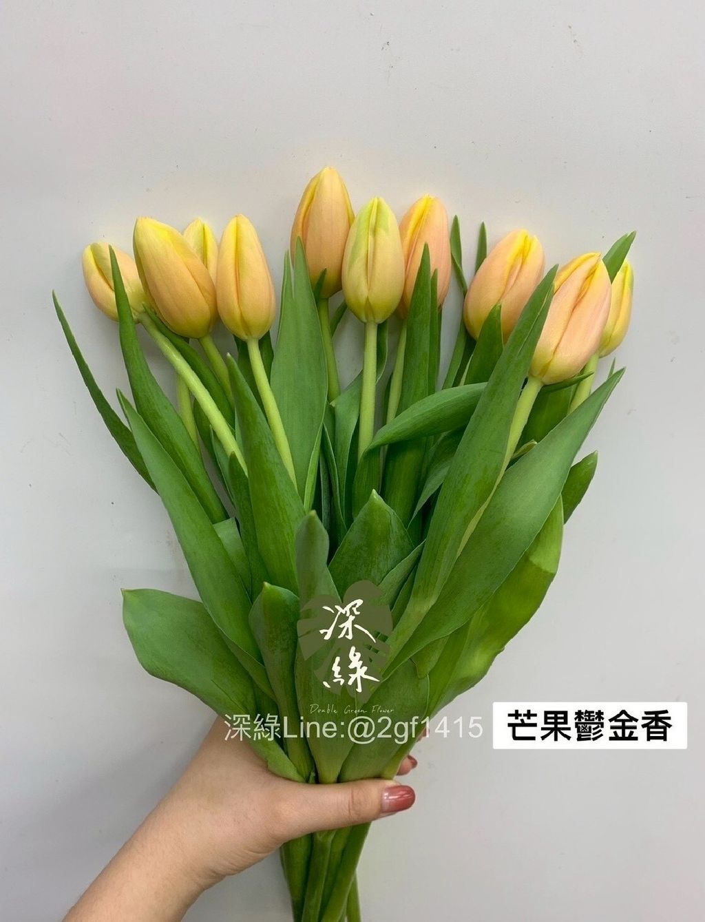 LINE_ALBUM_115西洋情人節鬱金香_260125_15