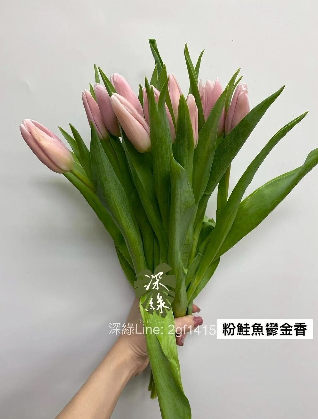 LINE_ALBUM_115西洋情人節鬱金香_260125_7