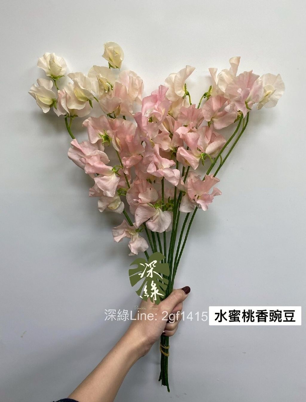 LINE_ALBUM_115西洋情人節香豌豆預購_260125_4