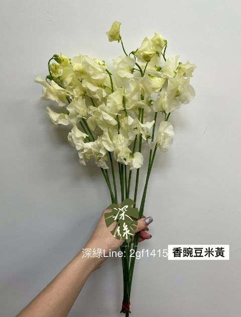 LINE_ALBUM_115西洋情人節香豌豆預購_260125_7