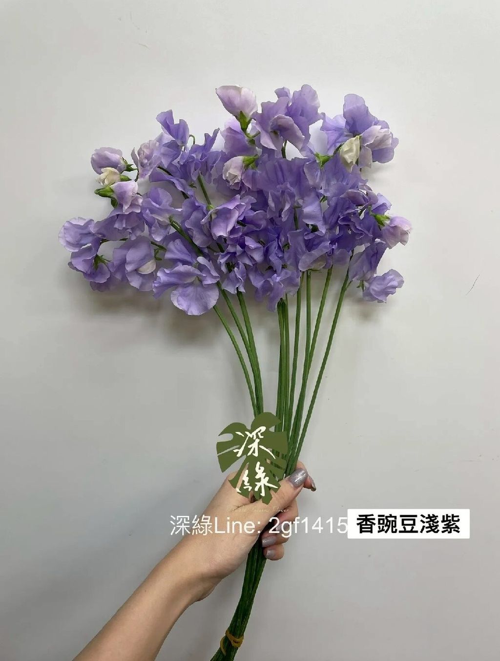 LINE_ALBUM_115西洋情人節香豌豆預購_260125_2