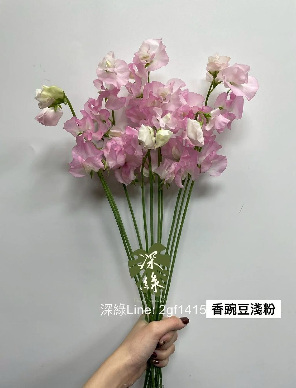 LINE_ALBUM_115西洋情人節香豌豆預購_260125_5