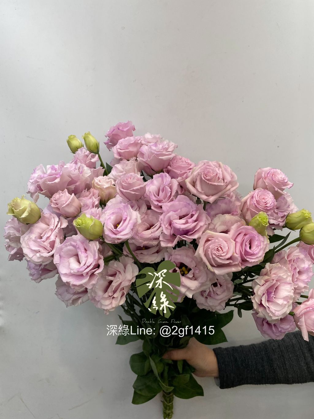 image_C9993E75-2450-4930-BAD7-2B233F13C163_1769397783