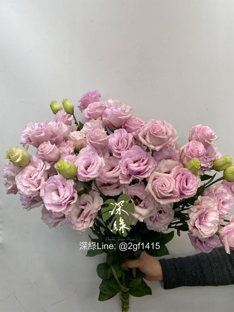 image_C9993E75-2450-4930-BAD7-2B233F13C163_1769397783