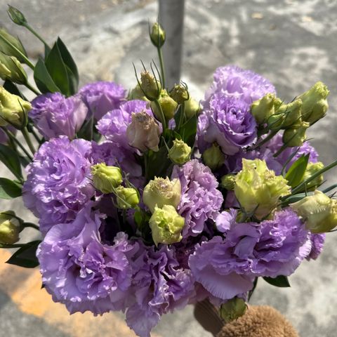 image_51216127-9877-4915-8744-88C6CF96BB94_1769408782