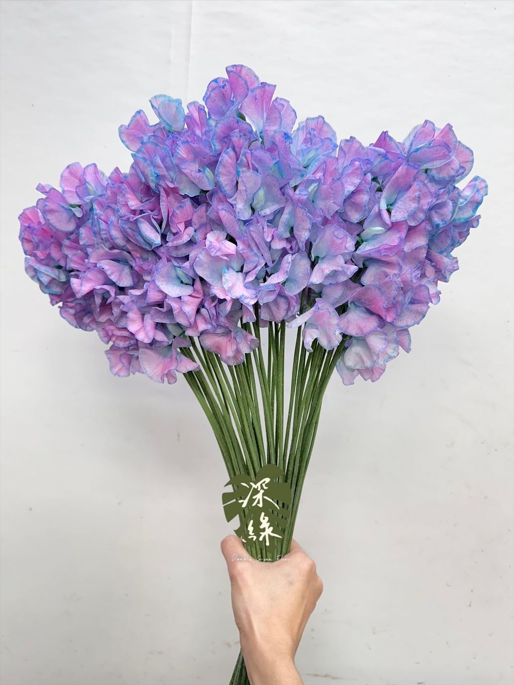 image_244B1450-1038-49A9-8D1E-8BEA952B0CEC_1768192567