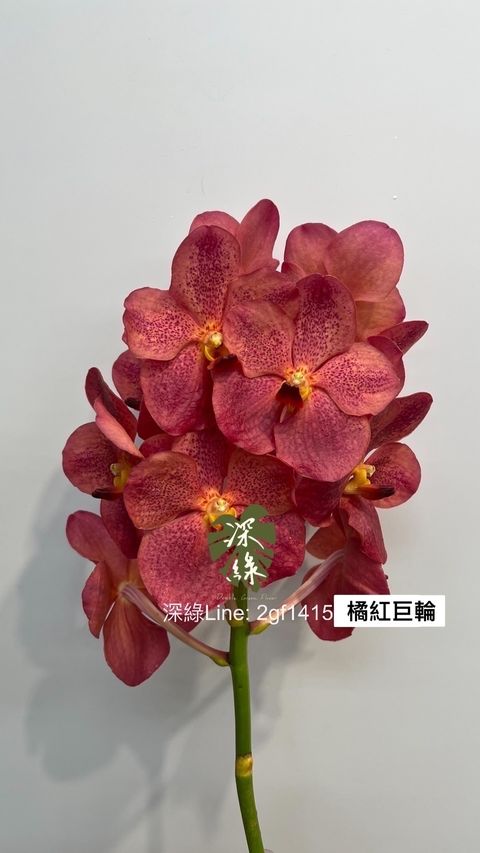 IMG_8539-1701843696610