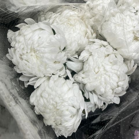 image_FE0F7037-1BFE-4366-842D-D32792BC3543_1769500770