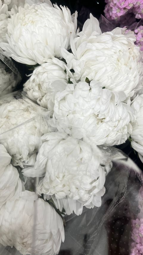 image_04F135C8-6D04-470B-BFAE-370F4F7B5DB3_1769500770