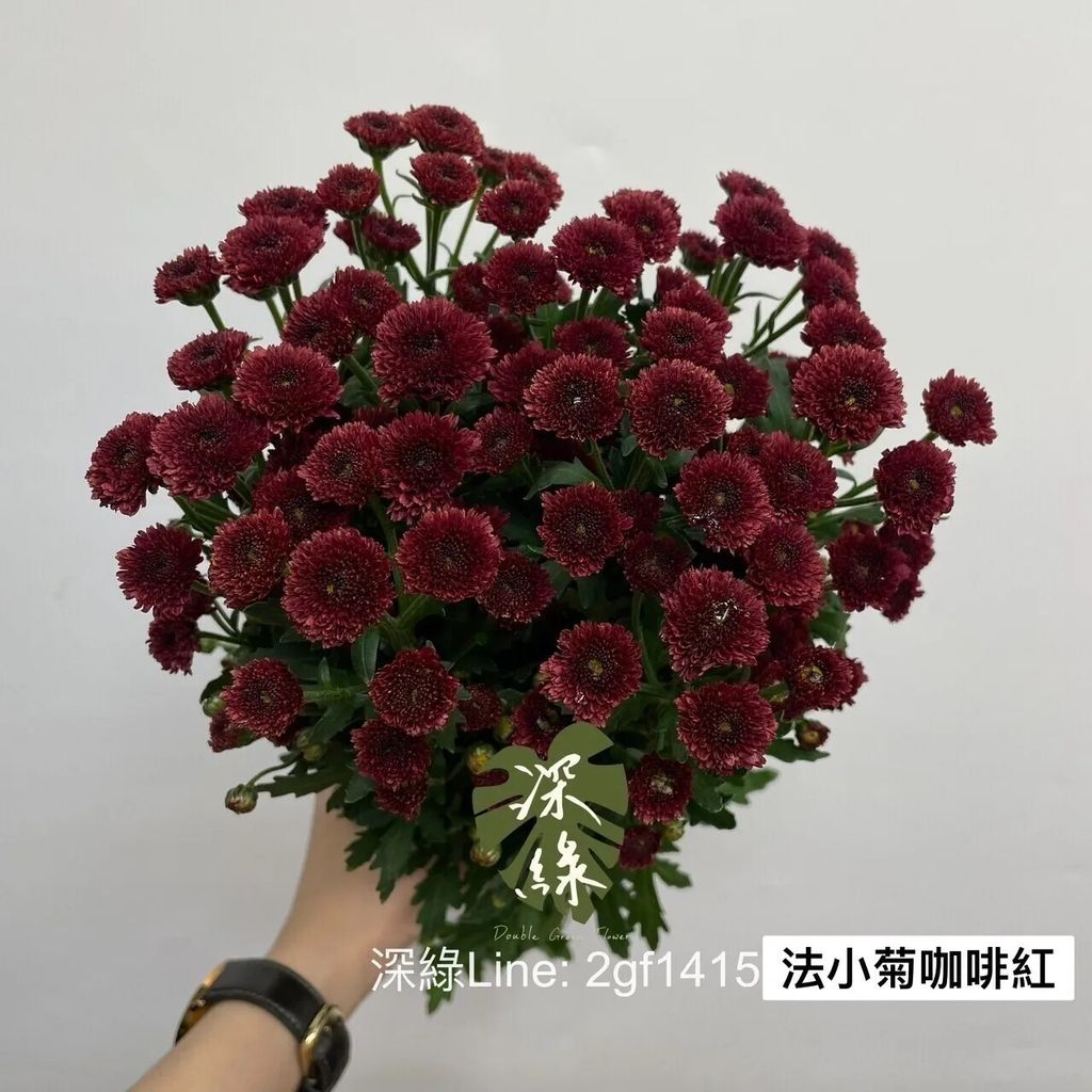 messageImage_1769576437993_0