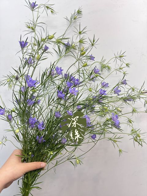 image_C3CC203B-6E34-4DF9-A65D-CF93F70277B3_1769660860