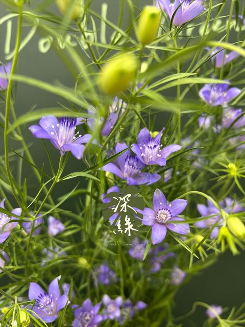 image_E2B5C1CB-E7C7-49BE-8839-EBFB18AD10E4_1769660860