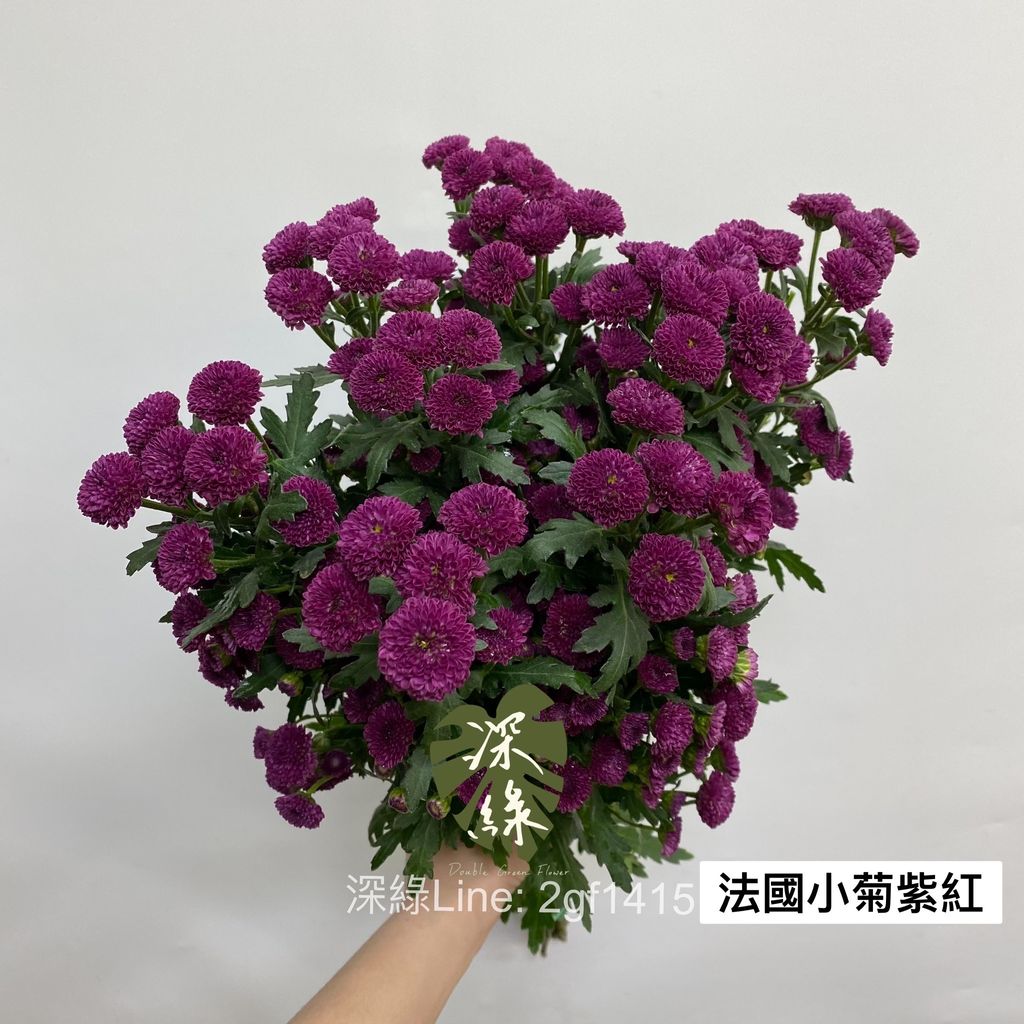 image_7538D6D9-E44E-4ACC-A2FA-6DCD0E70B7A9_1769669425