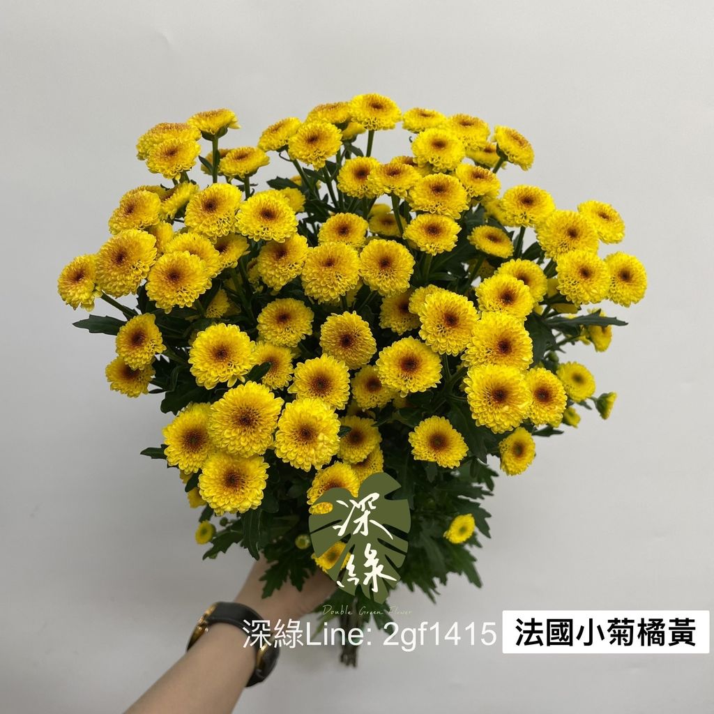 image_8C2FE0F5-AFFC-4907-A6E6-655360291DAA_1769669425