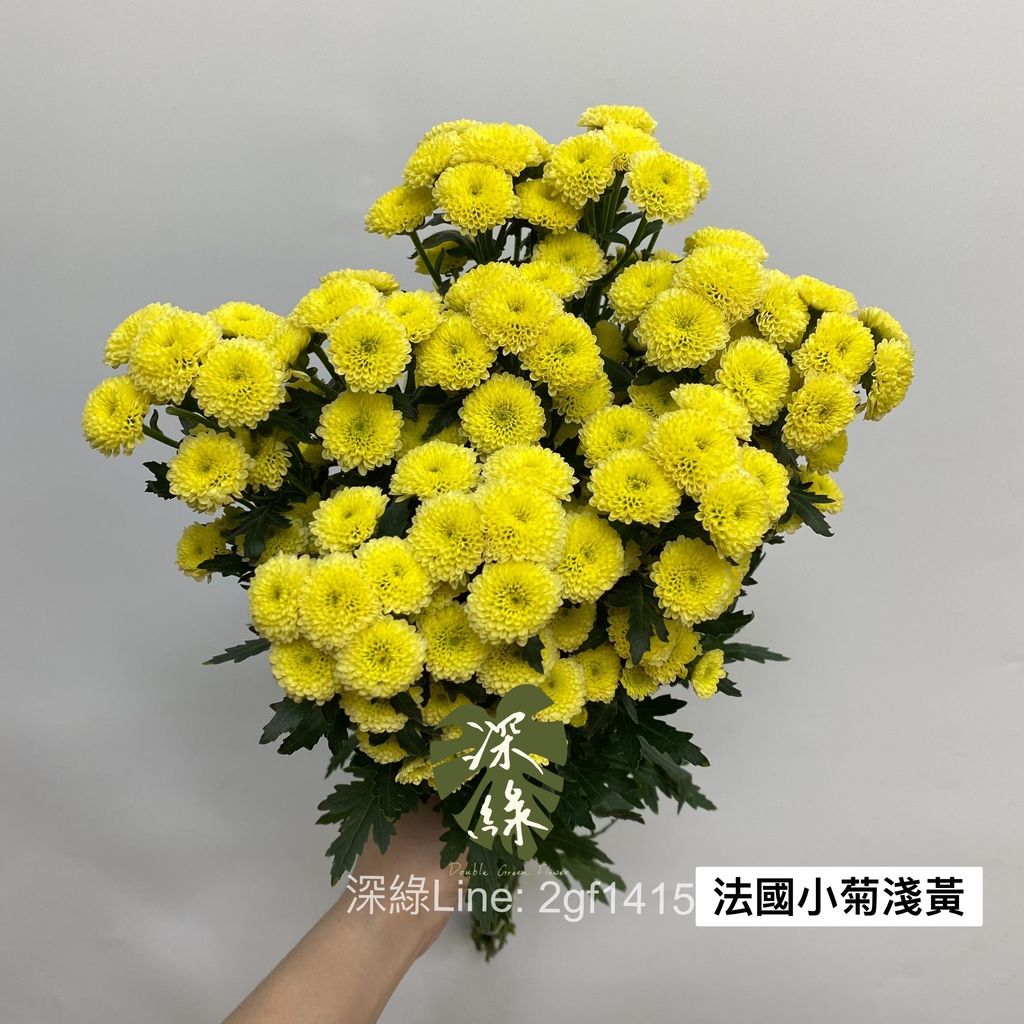 image_E765CD83-AF2B-4D69-A82D-593C1B16BEAA_1769669455