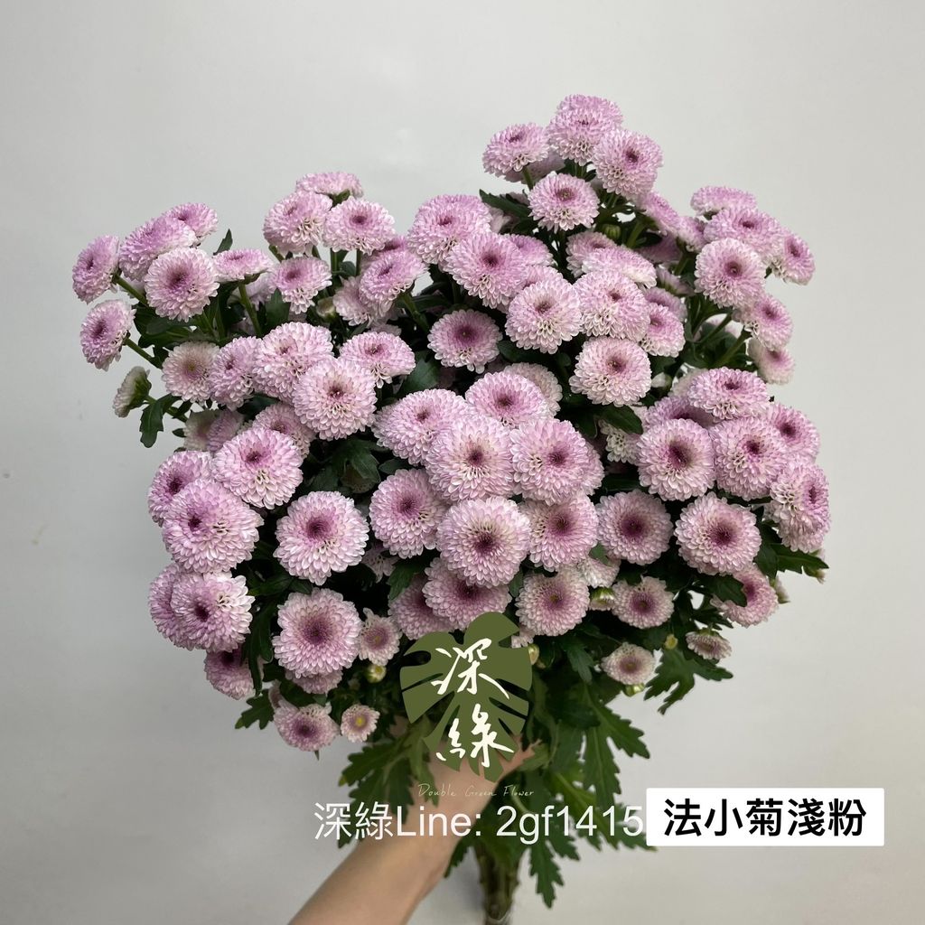 image_D6AD51E7-BF73-4260-A7EC-5A4FBADE9851_1769669455