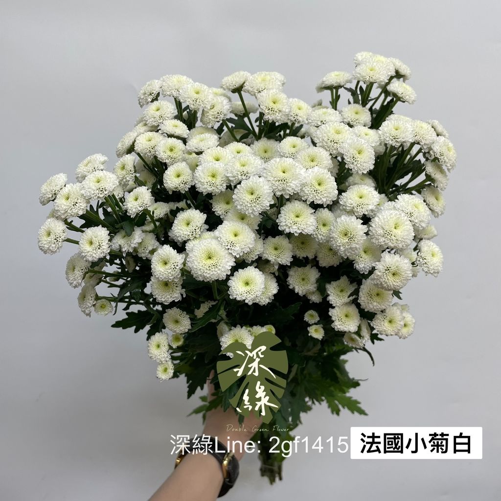 image_E5A1FBC1-DD9B-4DF3-BFE7-1C6925EA6DF4_1769669455