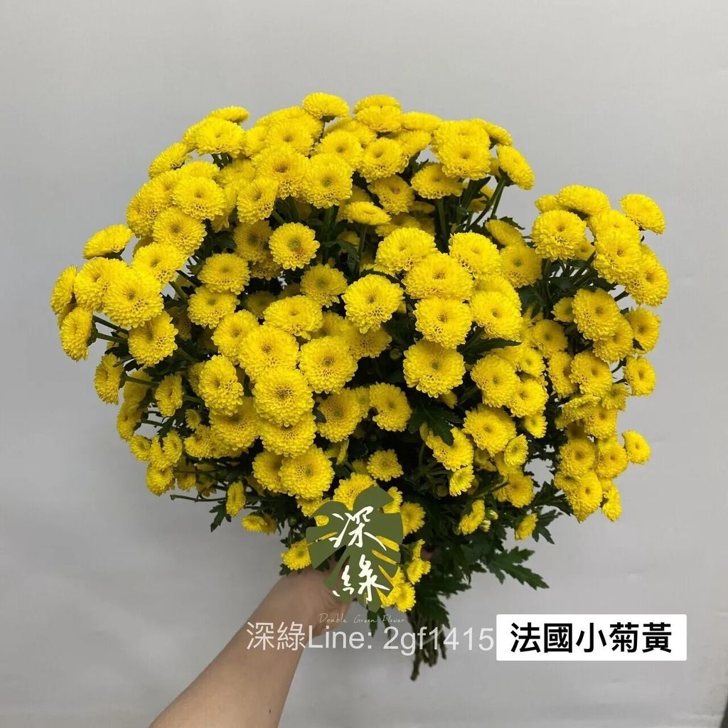 messageImage_1769665402363