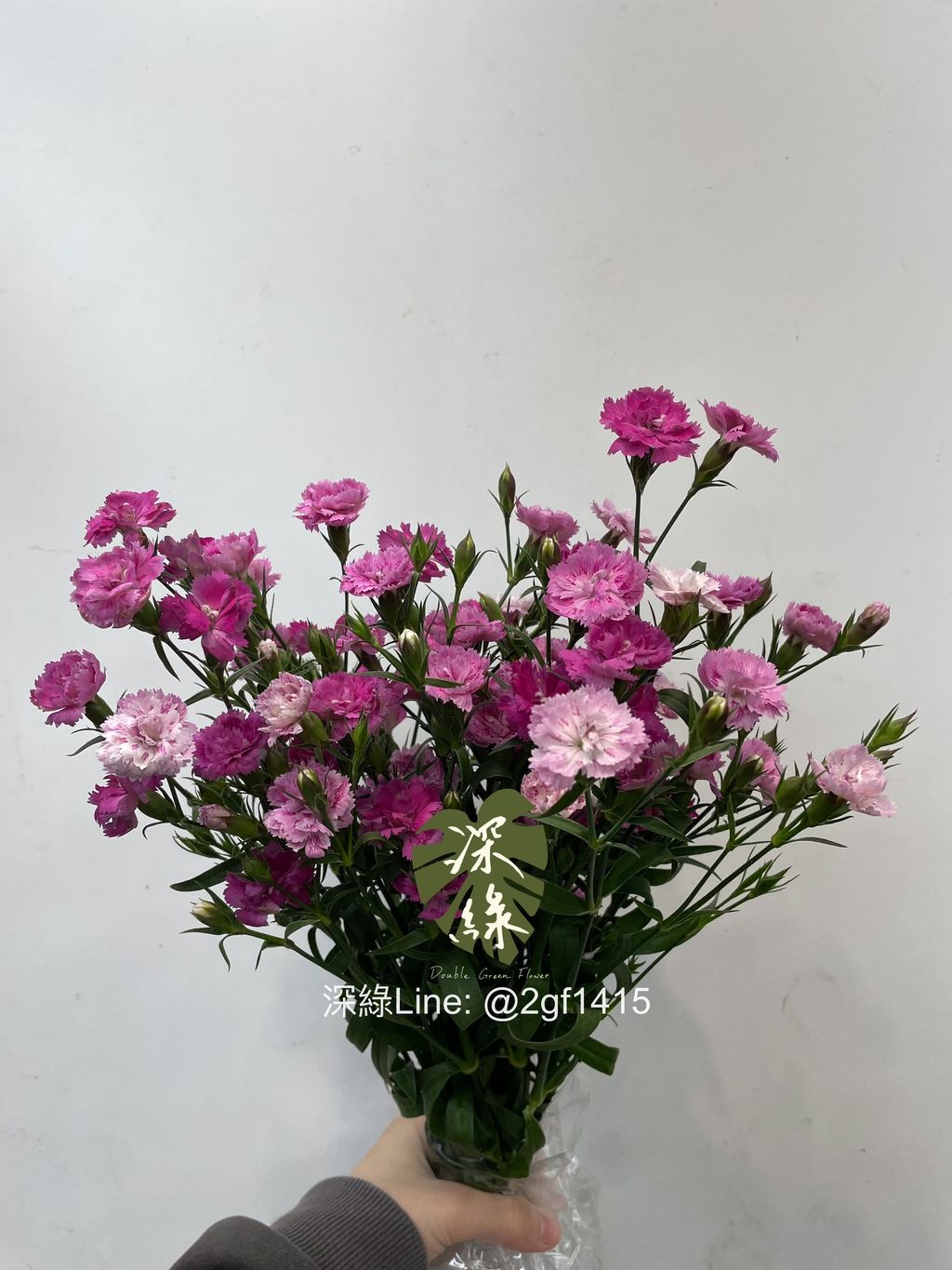 image_3E027B4B-8D07-48FE-A2CC-C9DFB368D4A3_1769745302