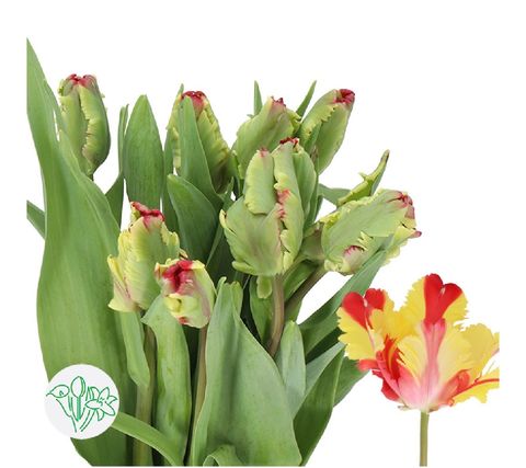 image_972A9C26-0696-4842-8844-9D57A316738D_1769917054