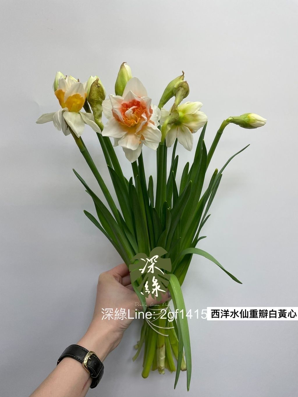 D486186D-B837-46D8-9038-B7EAED7F0496