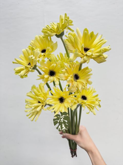 image_1EDE2A9C-0570-4BFC-886F-6B5F6786BEA8_1768450538